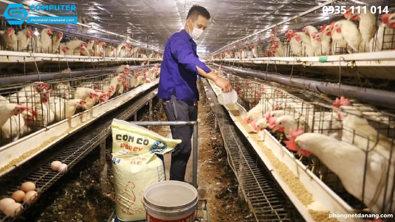 10-y-tuong-kinh-doanh-o-nong-thon-nam-bat-co-hoi-lam-giau (5)