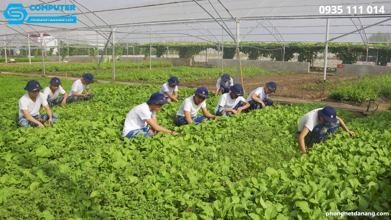 10-y-tuong-kinh-doanh-o-nong-thon-nam-bat-co-hoi-lam-giau