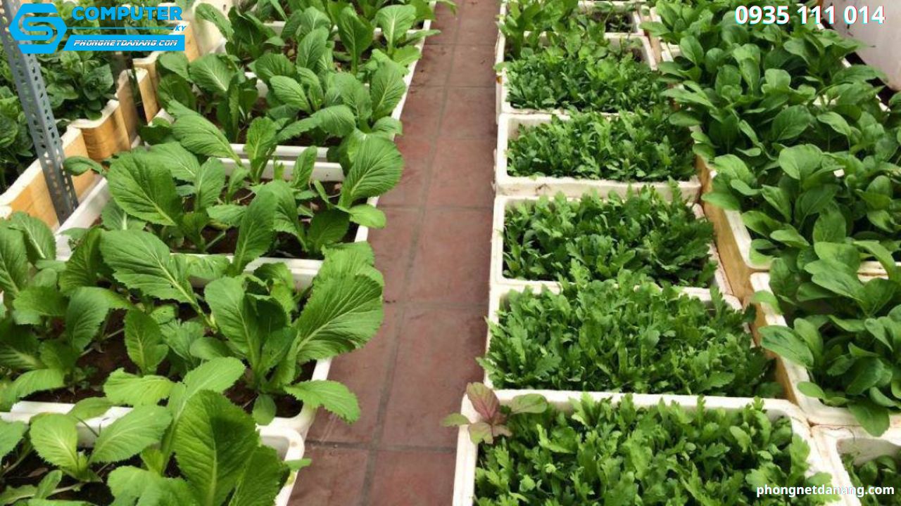 9-nganh-nghe-kinh-doanh-hot-nhat-2023-co-hoi-lon-cho-cac-nha-dau-tu (6)