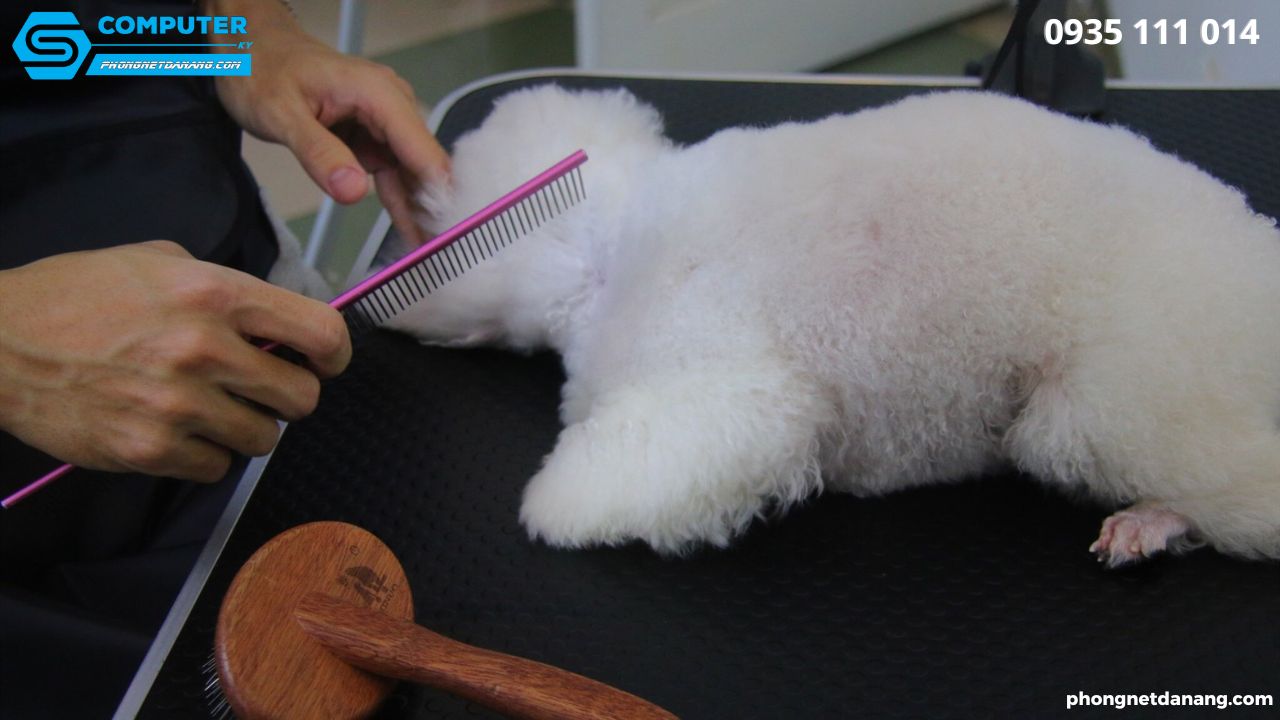 kinh-doanh-gi-voi-300-trieu-15-y-tuong-khong-can-nhieu-von (5)