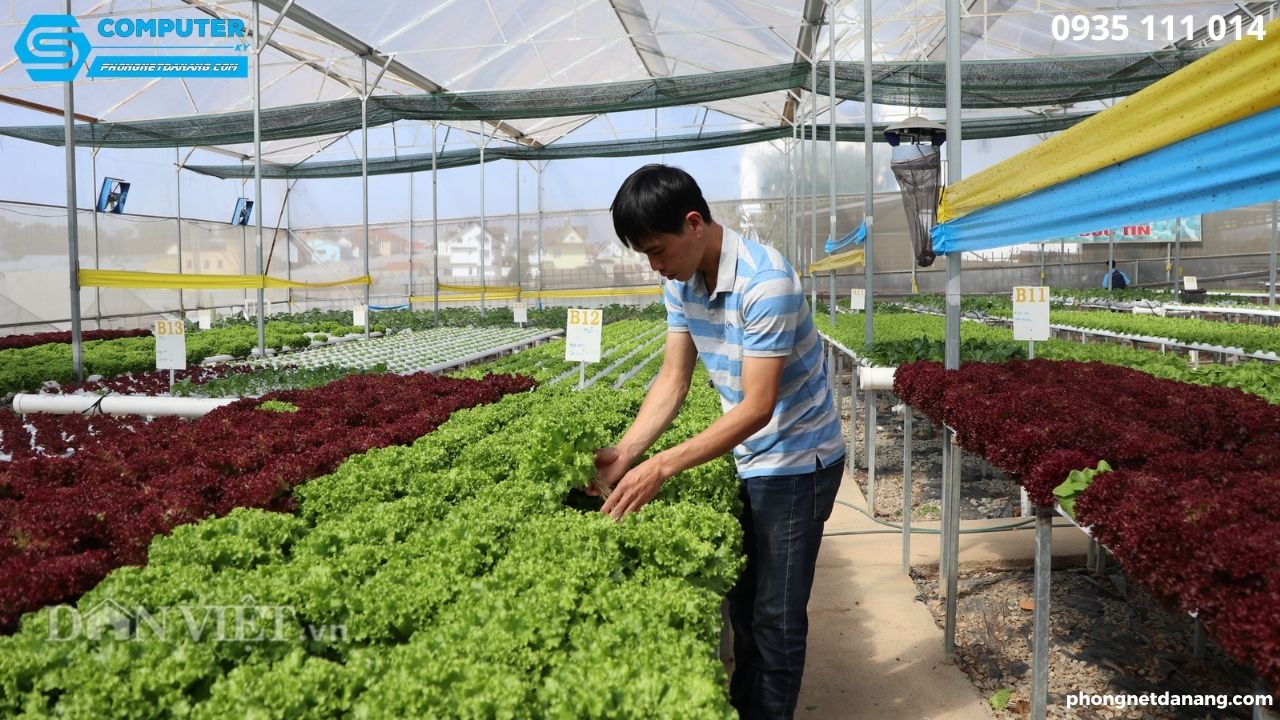 kinh-doanh-lam-giau-nhanh-xu-huong-voi-5-y-tuong-hot (1)