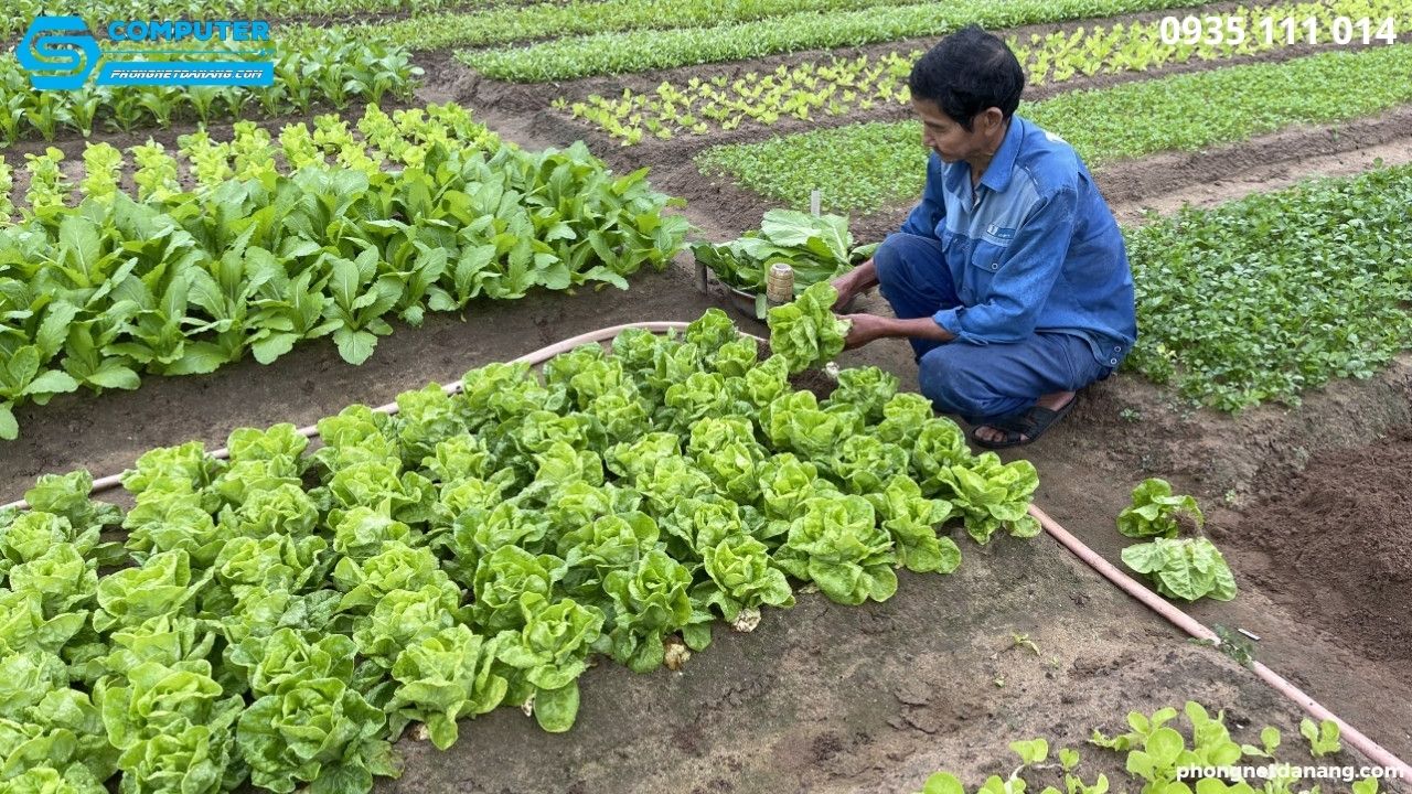 kinh-doanh-lam-giau-nhanh-xu-huong-voi-5-y-tuong-hot (2)