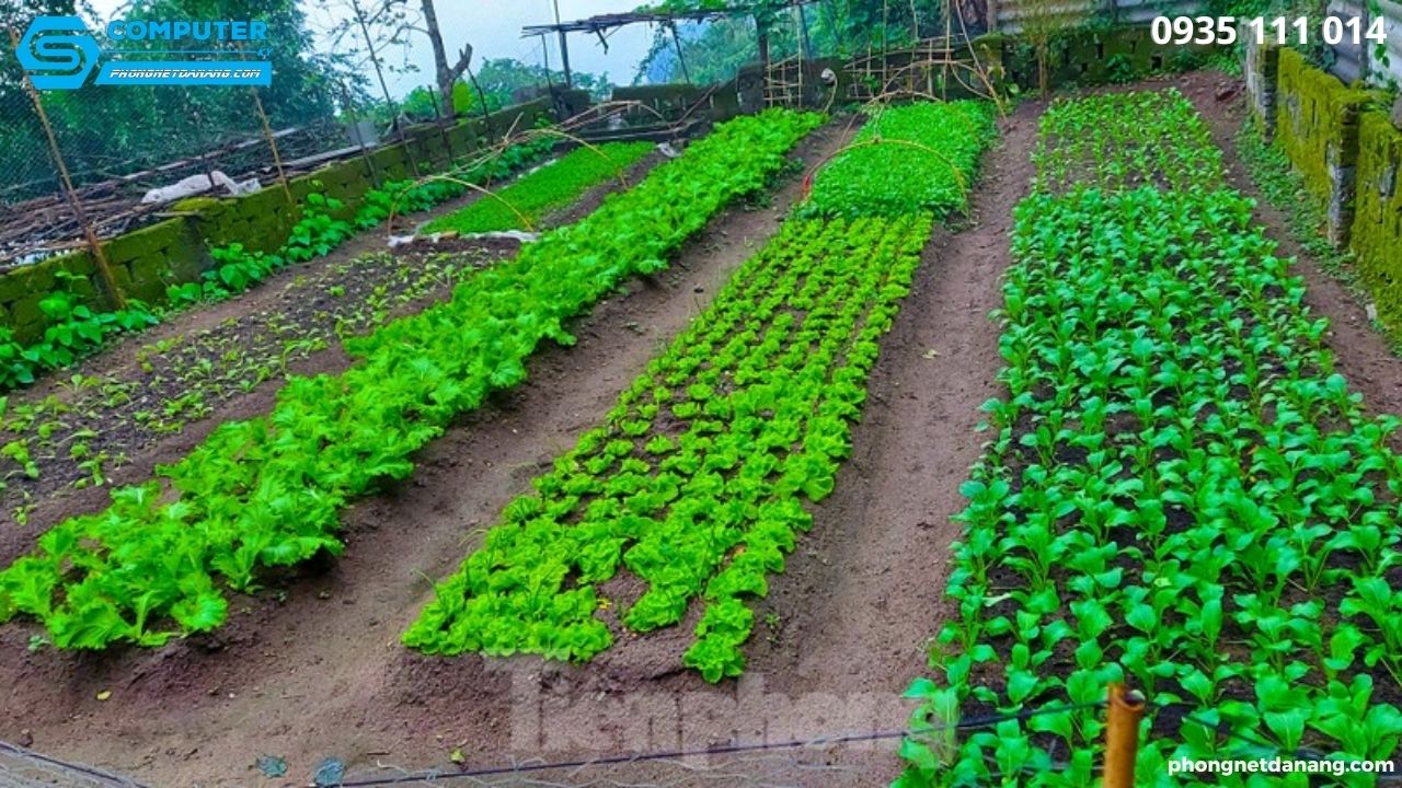 kinh-doanh-lam-giau-nhanh-xu-huong-voi-5-y-tuong-hot (3)