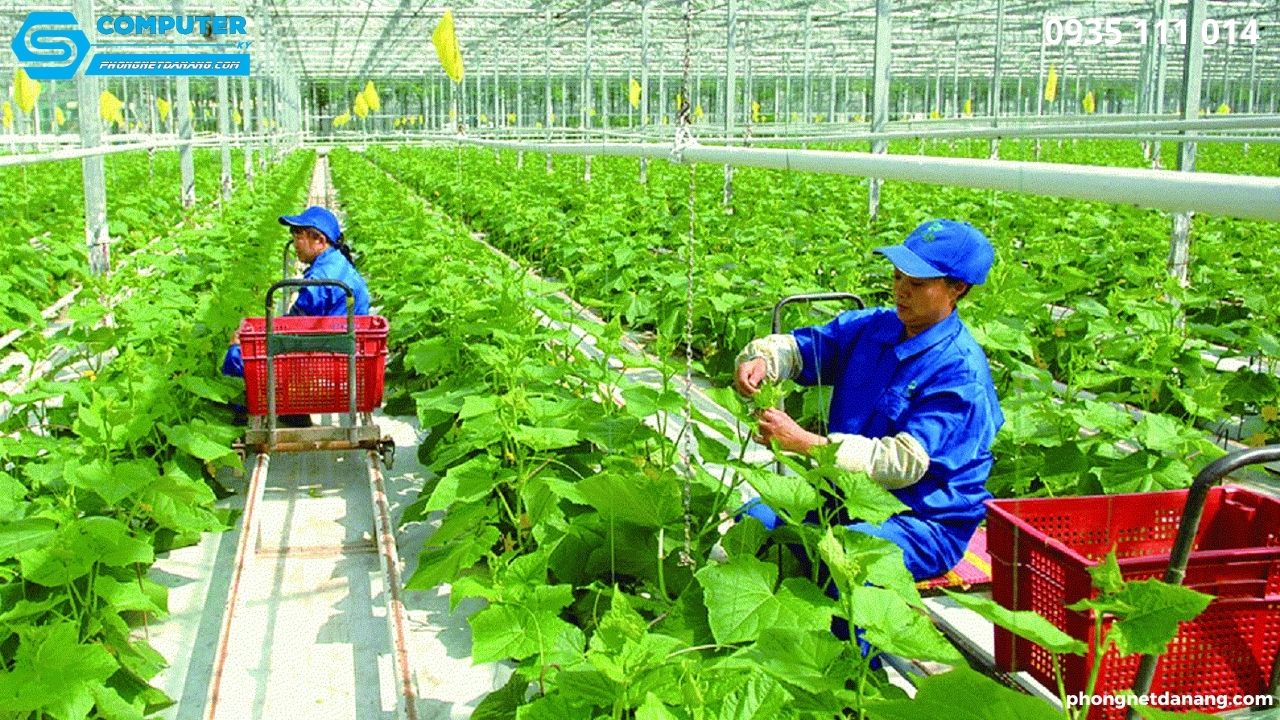 lam-giau-voi-5-cach-dau-tu-nho-ai-cung-co-the-lam-duoc (5)