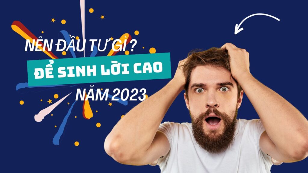 nen-dau-tu-vao-dau-de-sinh-loi-cao-trong-nam-2023 (12)