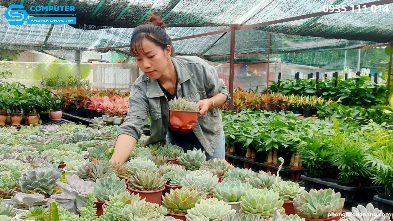 nen-kinh-doanh-gi-nam-2023-4-y-tuong-kinh-doanh-hot-bac-loi-nhuan-cao (1)