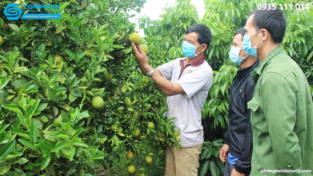 thi-truong-tiem-nang-nam-2023-kinh-doanh-gi-tot-nhat-hien-nay (7)